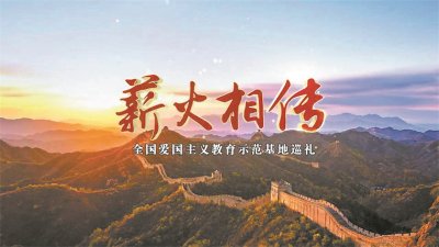 致敬无言战友！漫长的巡逻路上，它们与军人生死相依